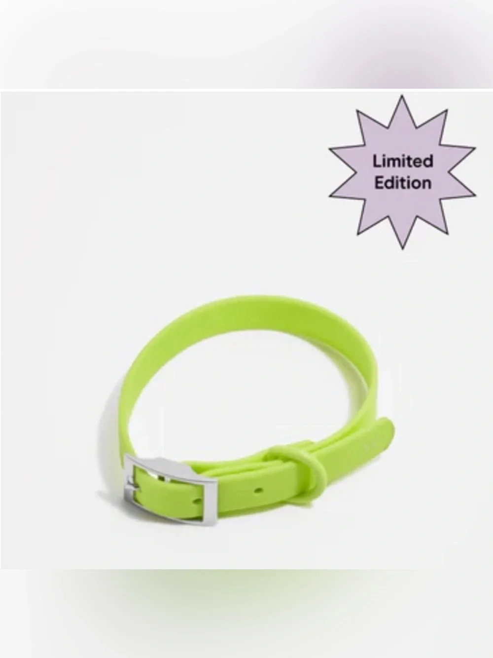 Wild One Limeade Waterproof Dog Collar - NWOT